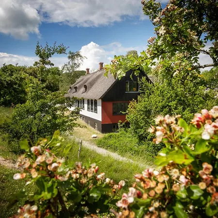Apartmán Molslaboratoriet - Lejligheden