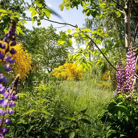 Apartmán Molslaboratoriet - Lejligheden *