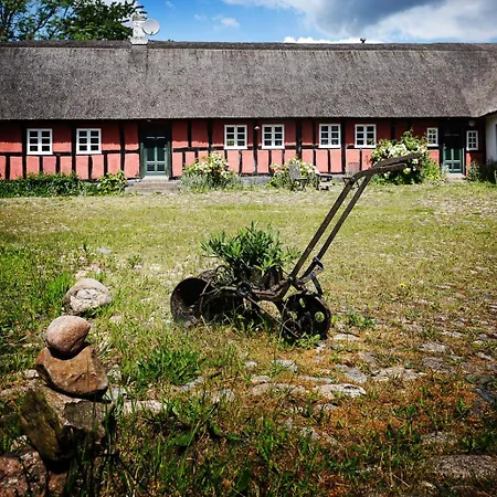 Molslaboratoriet - Lejligheden Apartmán
